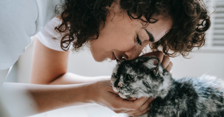 Comprehensive Guide to Cat Care: Ensuring Your Feline Friend’s Health and Happiness